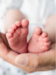 midwify